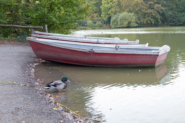 Boats on a lake — Stock Photo, Image