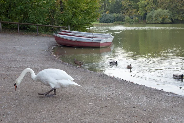 Boats on a lake — Stock Photo, Image