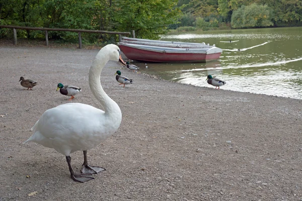 Boote auf einem See — Stockfoto