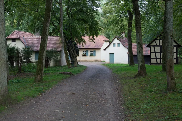 Kis faluban, erdő — Stock Fotó