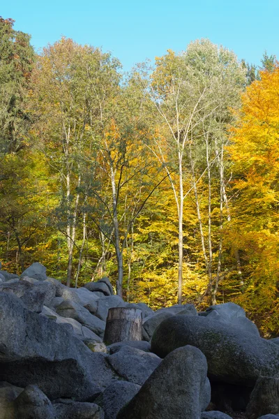 Felsenmeer in Odenwald — Stock Fotó