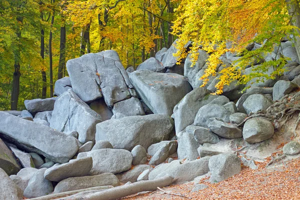 Felsenmeer in Odenwald — Stock Fotó