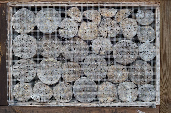 Insect hotel with wooden border — Stock Photo, Image