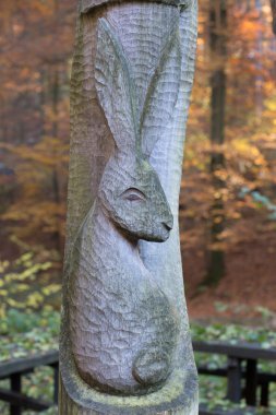 Oyulmuş bir tavşan