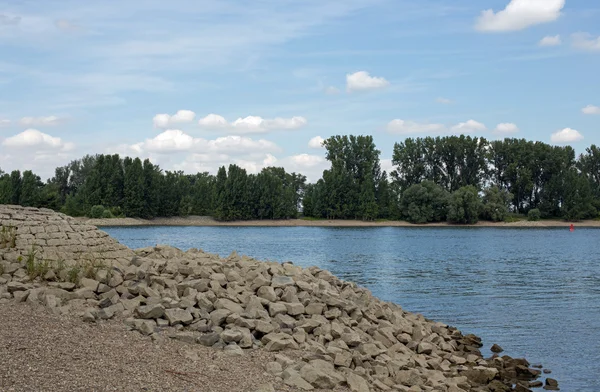 Orilla del Rin (Rhein ) — Foto de Stock