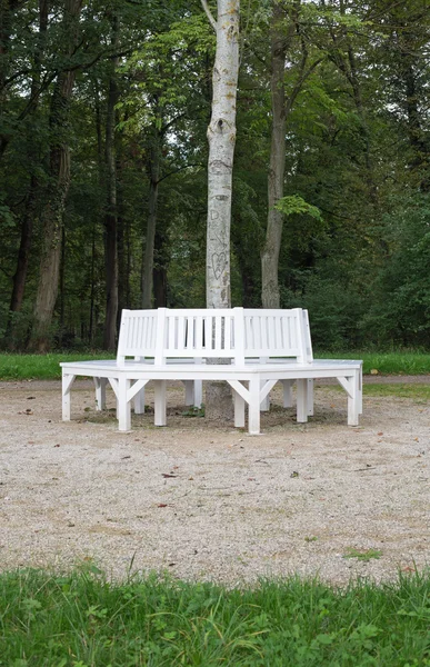 Bílé lavičky kolem stromu — Stock fotografie