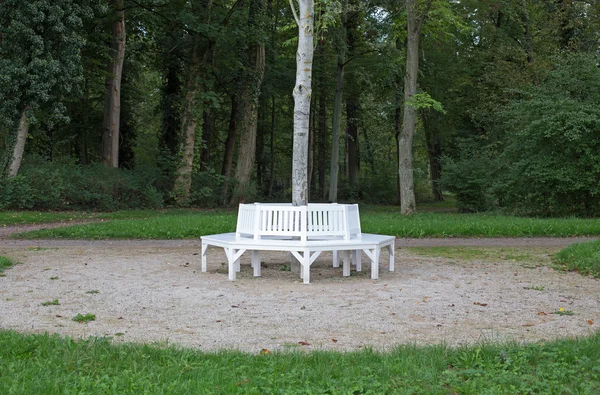 Bancs blancs groupés autour d'un arbre — Photo