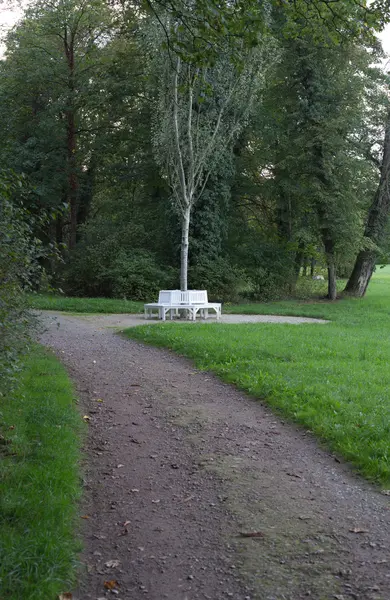 White benches grouped around a tree — Stock Photo, Image