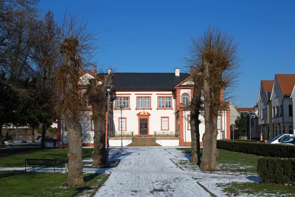 Castle Fechenbach in Dieburg — 스톡 사진