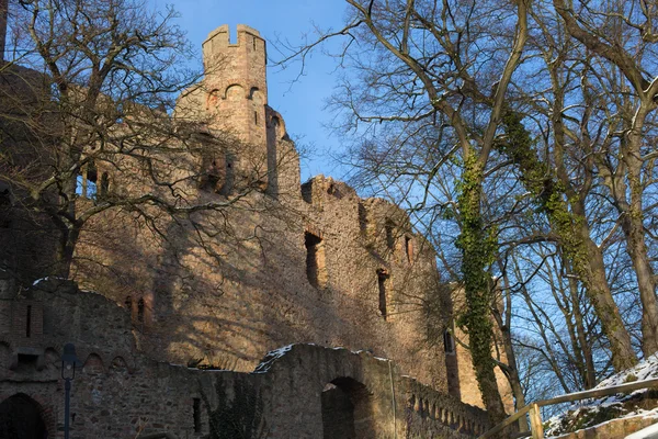 Ruiny hradu Auerbach (Auerbacher hrad) — Stock fotografie