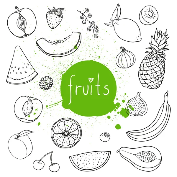 Vektor handgezeichnete Früchte — Stockvektor