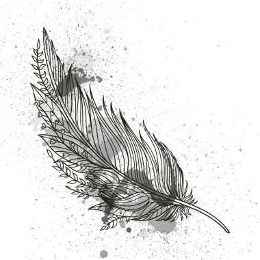 Vector Abstract Ornamental Feather clipart