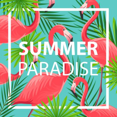 Flamingolar ile vektör arka plan