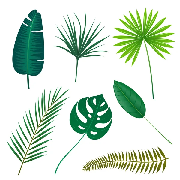 Vector Tropical Leaves — Stock Vector