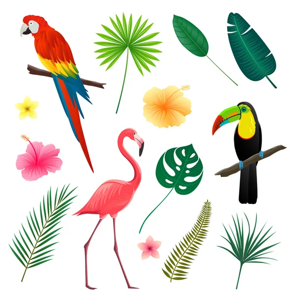 Vector Hojas tropicales, flores y aves — Archivo Imágenes Vectoriales