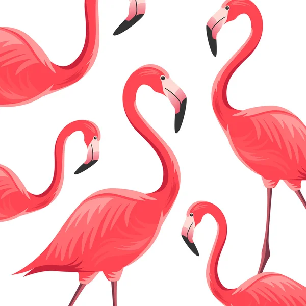 Fondo vectorial con flamencos — Vector de stock