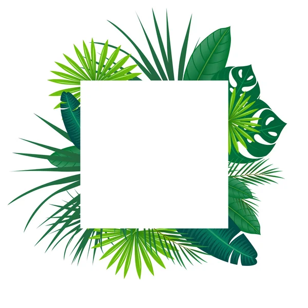 Fond tropical vectoriel — Image vectorielle