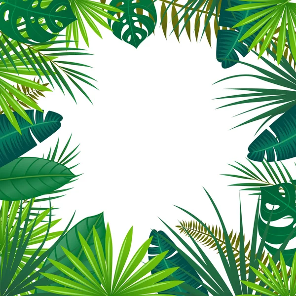 Fond tropical vectoriel — Image vectorielle