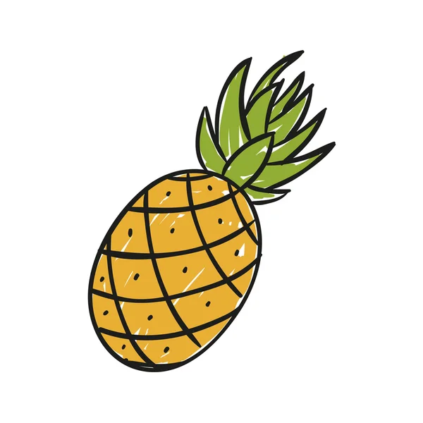 Vector dibujado a mano piña — Vector de stock