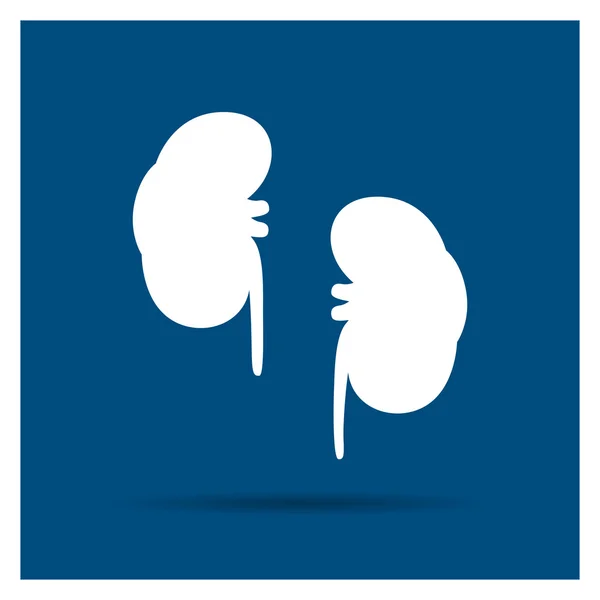 Vector Kidneys Icon — Stock Vector
