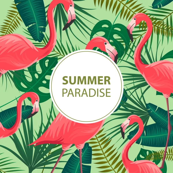 Vector Summer Design Template with Flamingos — Stock Vector