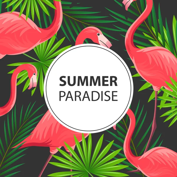 Vector Summer Design Template with Flamingos — Stock Vector