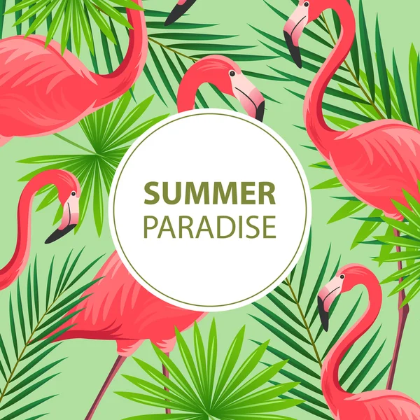 Vector Summer Design Template with Flamingos — Stock Vector