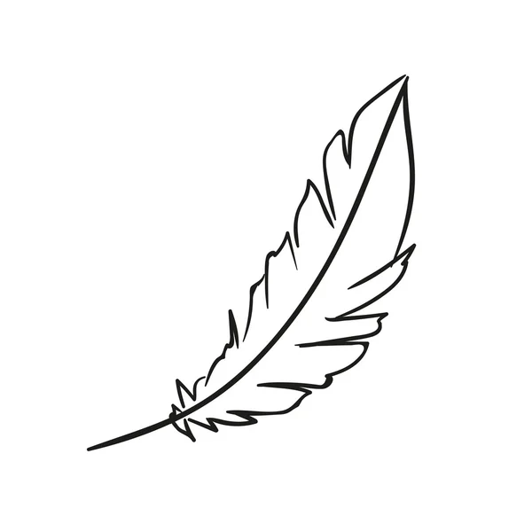 Vector Feather Doodle — Stockvector