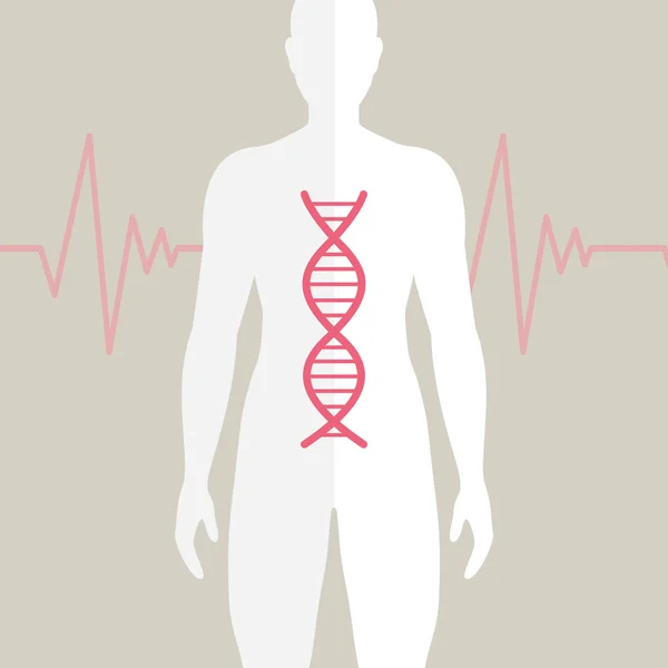 DNA umano vettoriale — Vettoriale Stock