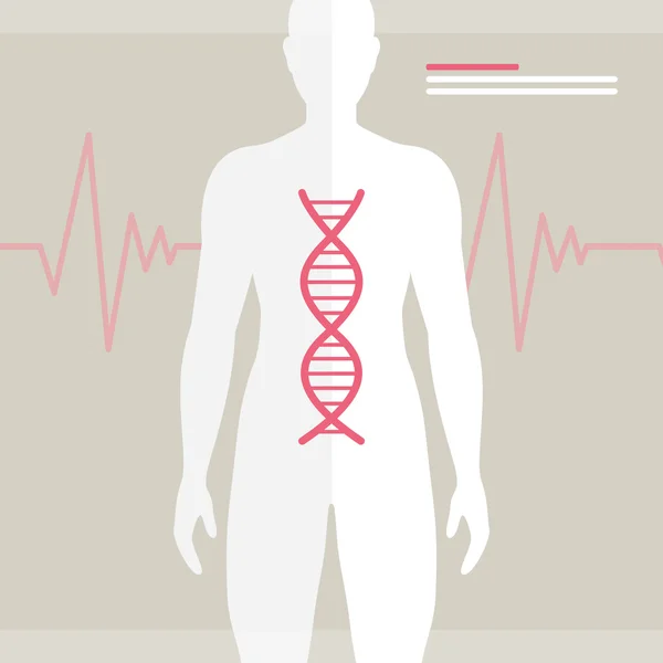 Insan DNA'sı vektör — Stok Vektör