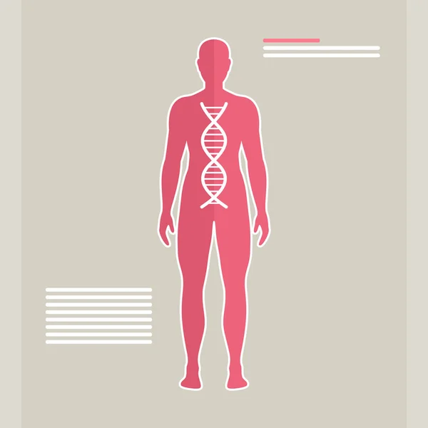 Vektor DNA manusia - Stok Vektor