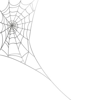 Beyaz bir arka plan üzerinde vektör Spiderweb