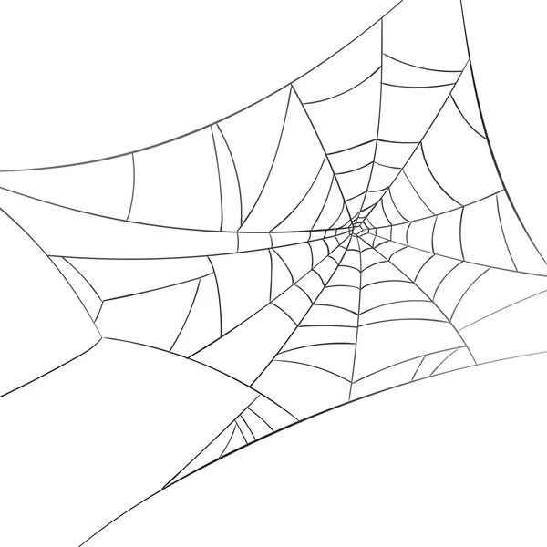 Vector Spiderweb op een witte achtergrond — Stockvector