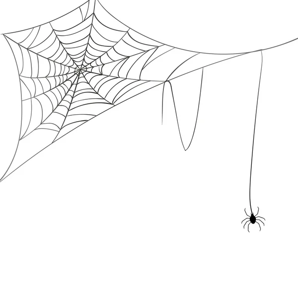 Vektor Spiderweb fehér alapon — Stock Vector