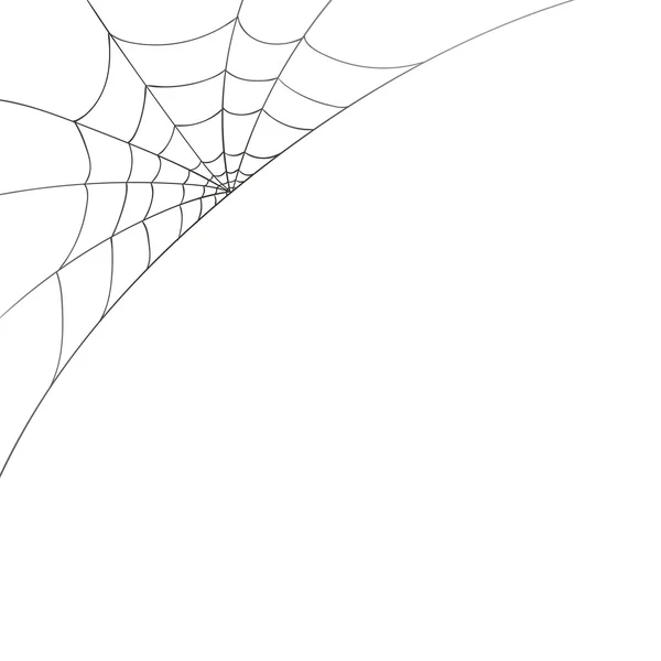 Vektor-Spinnennetz auf weißem Hintergrund — Stockvektor