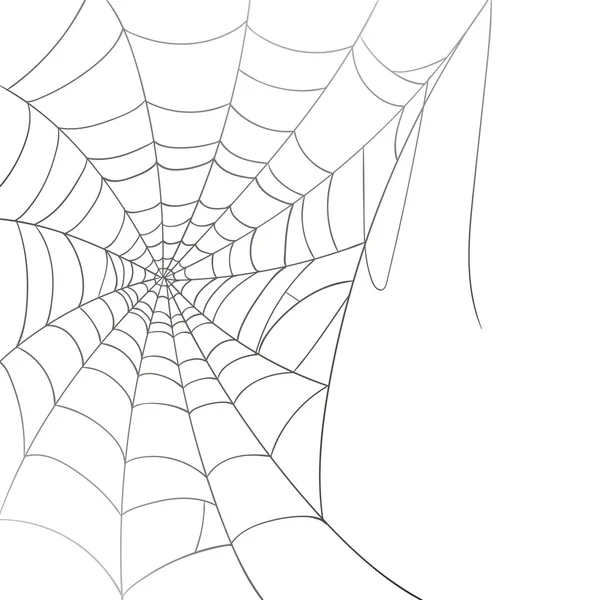 Vector Spiderweb op een witte achtergrond — Stockvector