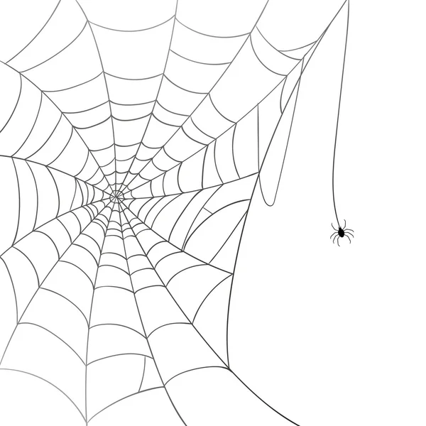 Vector Spiderweb en een spin — Stockvector