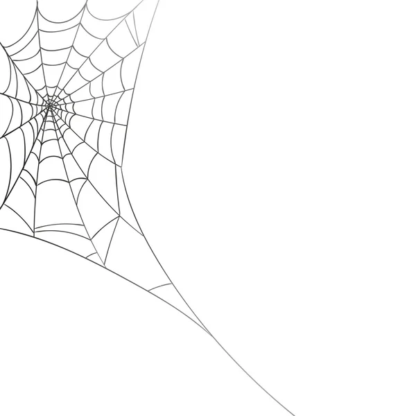 Vektor-Spinnennetz auf weißem Hintergrund — Stockvektor
