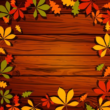 Vektör sonbahar yaprakları