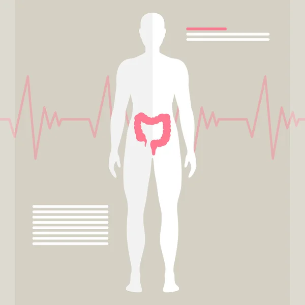 Vettore intestinale umano — Vettoriale Stock