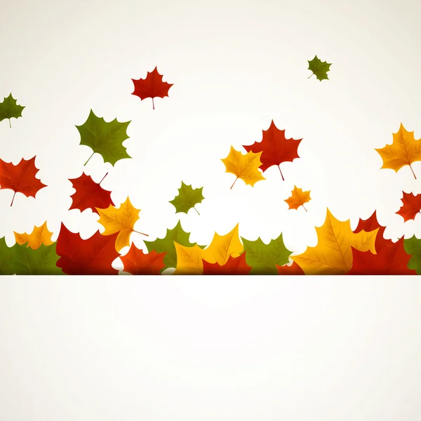 Vector Autumn Leaves — Stock Vector