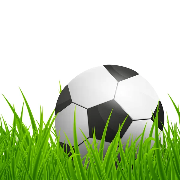 Vector Soccer Ball — Stock Vector