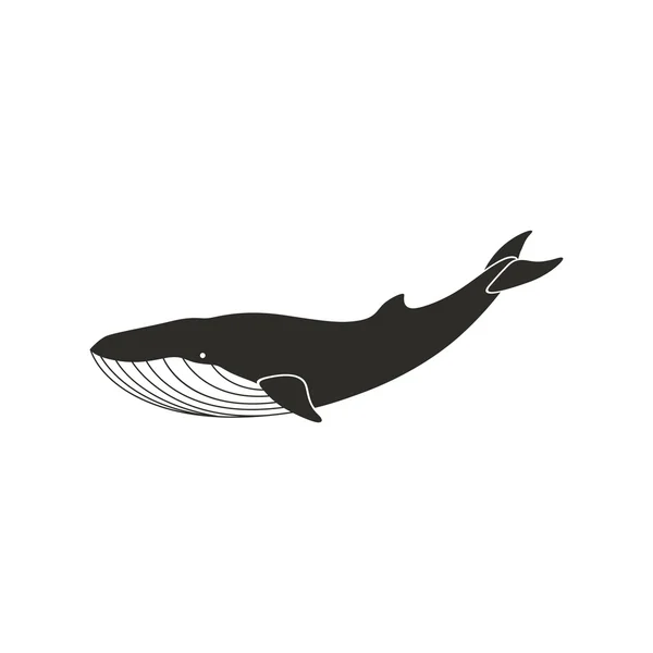 Vector Whale — Stock Vector