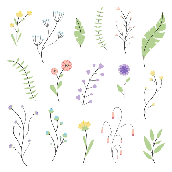 Elementos florales — Vector de stock