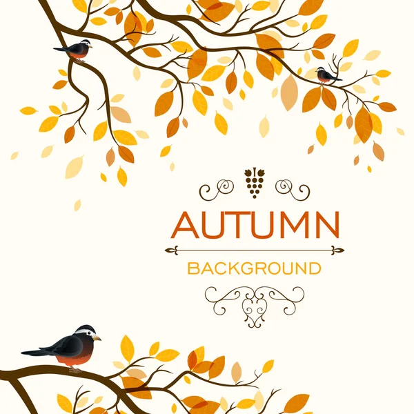 Herbstliches Design — Stockvektor