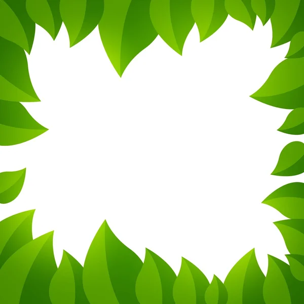 Hojas verdes — Vector de stock