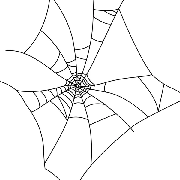 Een spinnenweb — Stockvector