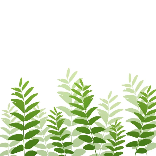 Vector Nature Backgrouund with Green Plants — Stock Vector