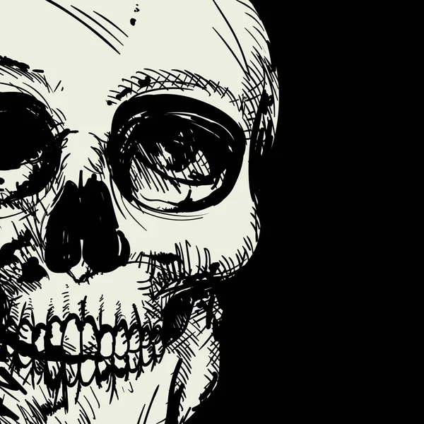 ベクトルの黒と白の人間の頭蓋骨の図面 — ストックベクタ