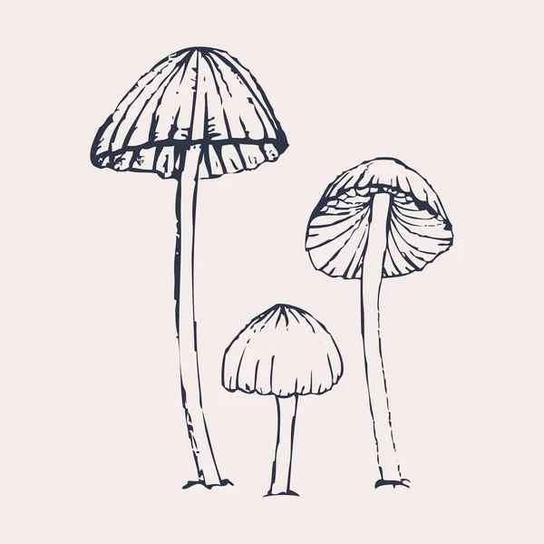 Vector Hand Drawn Mushrooms — Stock Vector